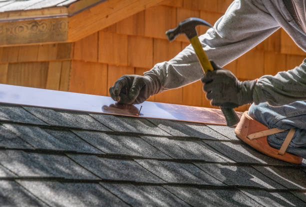 Best Roof Coating and Sealing  in Mount Morris, IL