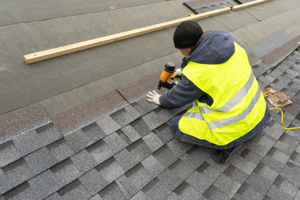 Best Gutter Installation and Repair  in Mount Morris, IL