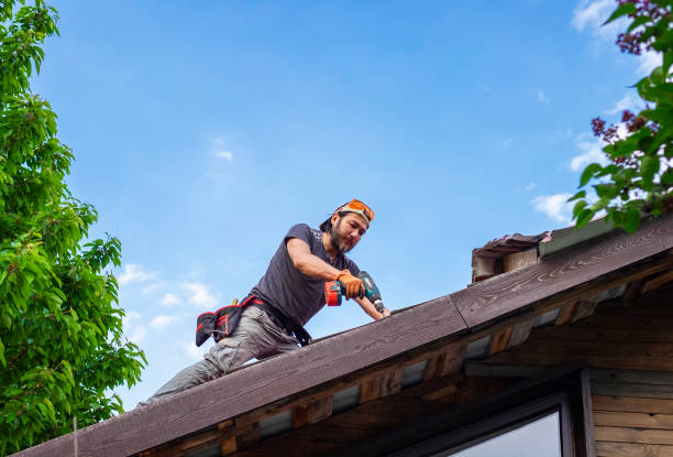 Best Roof Moss and Algae Removal  in Mount Morris, IL