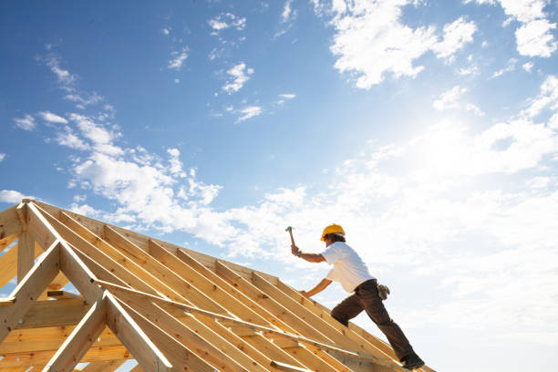 Best Rubber Roofing (EPDM, TPO)  in Mount Morris, IL