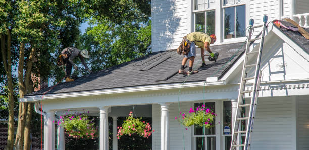 Best Rubber Roofing (EPDM, TPO)  in Mount Morris, IL